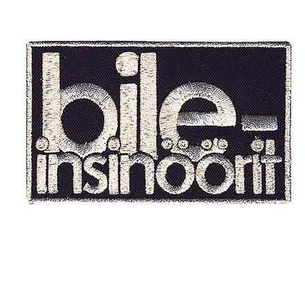 Bileinsinöörit